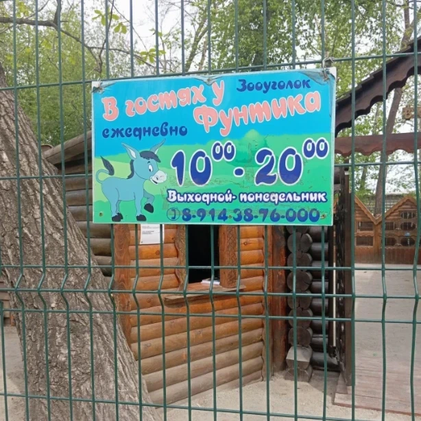 В гостях у Фунтика