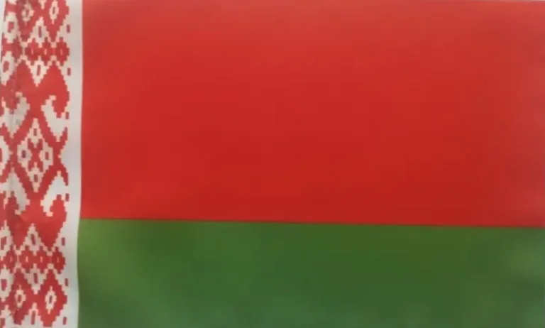 Флаг Белоруссии настольный