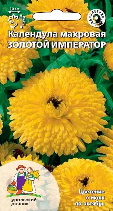 Фото для Календула махровая ЗОЛОТОЙ ИМПЕРАТОР