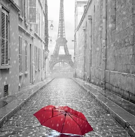 Фотообои Парижский дождь 196х260см VIP А-165, 8 частей