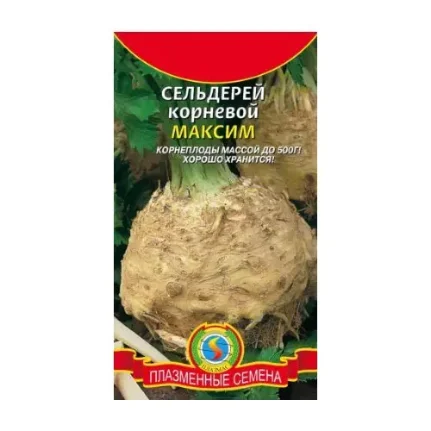 Фото для Сельдерей корневой МАКСИМ 0,3 гр (плазменные семена)