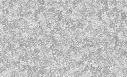 Фото для Обои Раджа 1,06х10м серый, виниловые на флизелиновой основе, 5004-06 С50