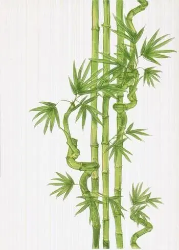 Вставка Ретро декор Бамбук 2 салатный 25x35