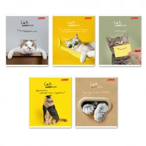 kmf54mig3asqkw9m0qbzntsxnw78g23a