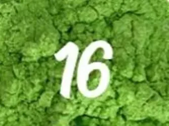 Пигмент-паста перламутр для смолы 16 (ярко-зелен) 20гр