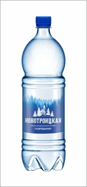 Фото для Вода Новотроицкая 1л мин газ*6