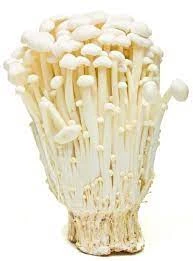 zv3r7bppo8ayjgtnf28ulsbq47i94gu1