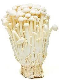 zv3r7bppo8ayjgtnf28ulsbq47i94gu1