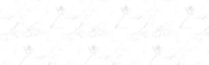 ba39fs3dobuh1vozrfyjb76htr1ywwsx