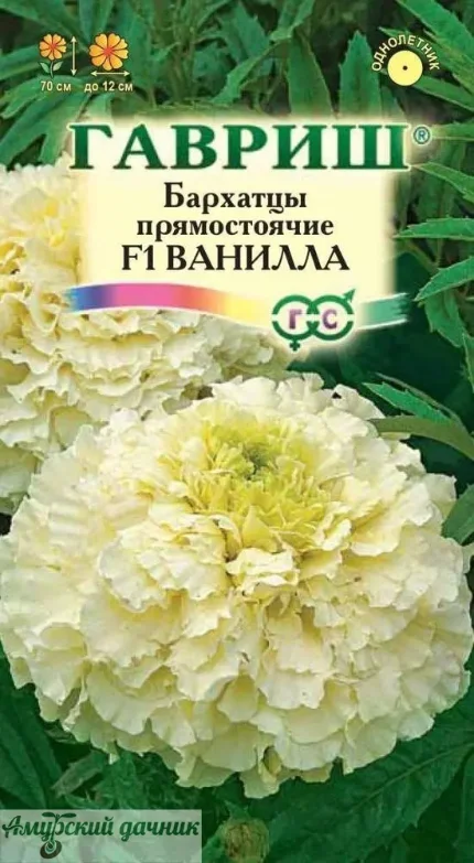 Фото для ЦВЦ Бархатцы Ванилла F1 0,05. "Г"/20 (до 70см)