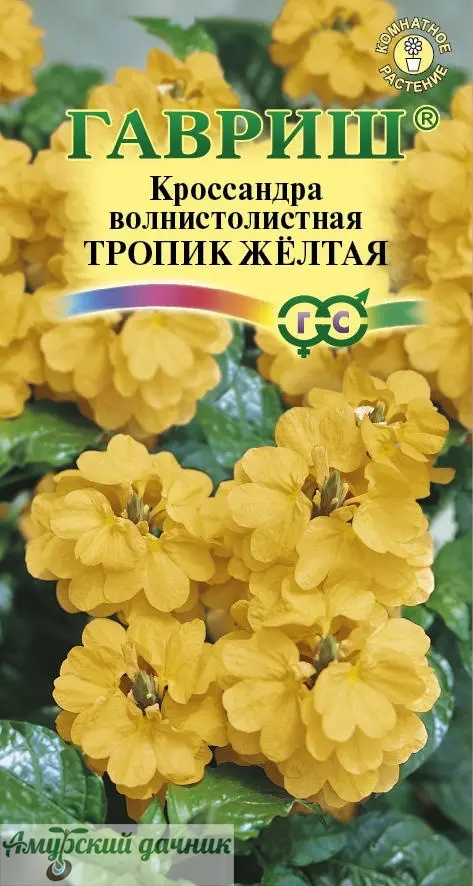 5lrgk8jmgj7gxzaq9dierb18r651m9dq