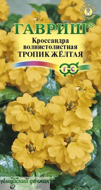 5lrgk8jmgj7gxzaq9dierb18r651m9dq