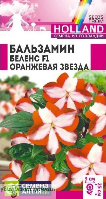 Фото для ЦВЦ Бальзамин Беленс Оранжевая Звезда F1 5 с " СА"/10