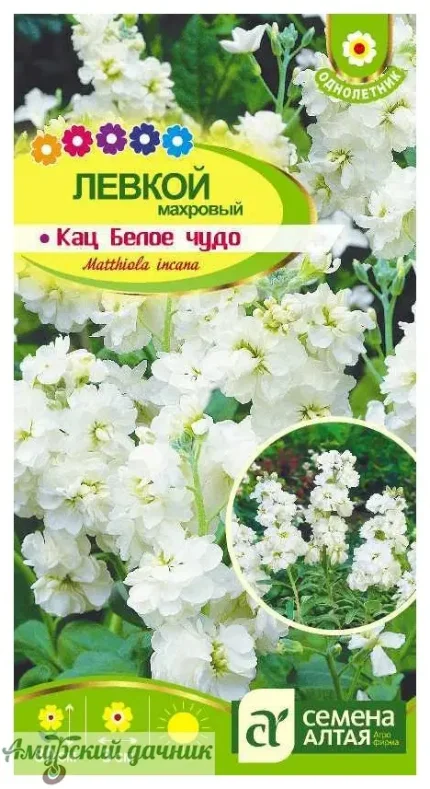 Фото для ЦВЦ Левкой Кац Белое чудо 8 с " СА" /10