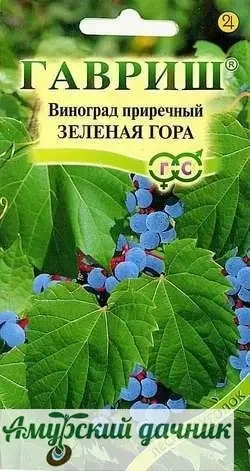 Фото для ЦВП Ягоды Виноград приречный Зеленая Гора 5с." Г"/20