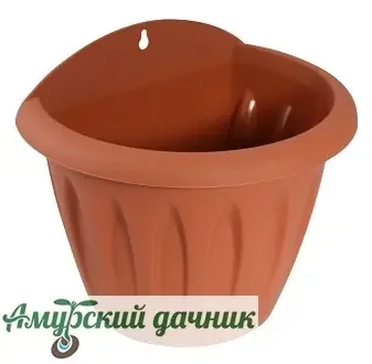 3grrfqakzfs4ikx6tk6ng7bfwpknnpe4