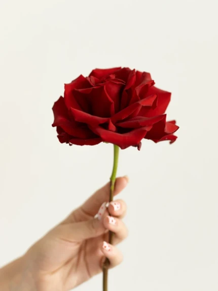 Фото для Монобукет "Red roses"