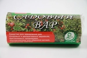 sgwkzw7il4ocpgtoraco4n510tnlk9o0