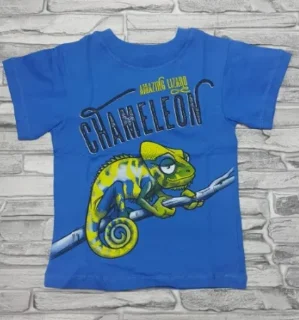 Детская футболка "Хамелеон"