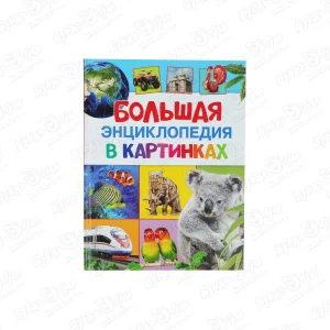 Книга Большая энциклопедия в картинках