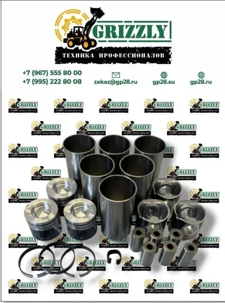 Поршневая группа WEICHAI WD10 61500010344,612600030015