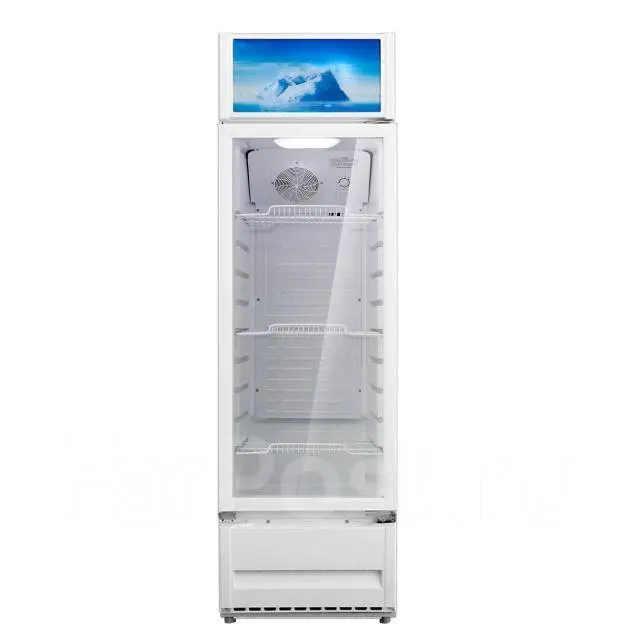 Шкаф холодильный FRIO FV 210RS 0°С...+10°С 211л 520х610х1747