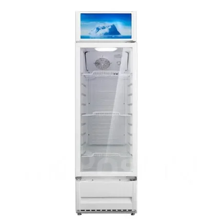Шкаф холодильный FRIO FV 210RS 0°С...+10°С 211л 520х610х1747