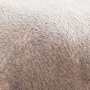 Диван Понг (плюш)