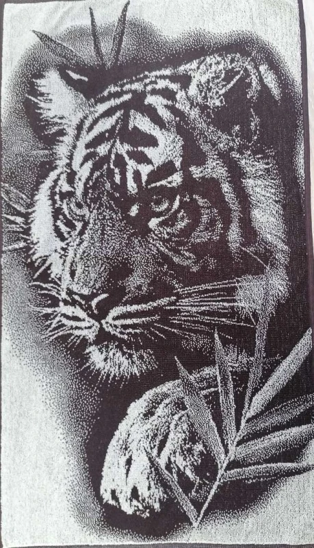 2om00weexq8ysc35n73q8ek911ciidso