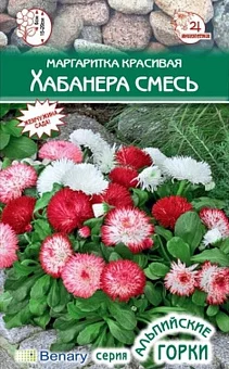 Цветы Маргаритка Хабанера (15шт)