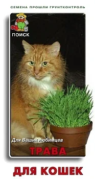 Фото для Трава для кошек (ЦВ) 10гр.