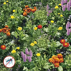 82acbcf3a50011ed8286d85ed377b6fa_b8b21101c55a11ee82cdd85ed377b6fa