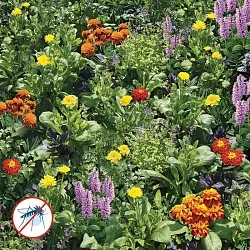 82acbcf3a50011ed8286d85ed377b6fa_b8b21101c55a11ee82cdd85ed377b6fa