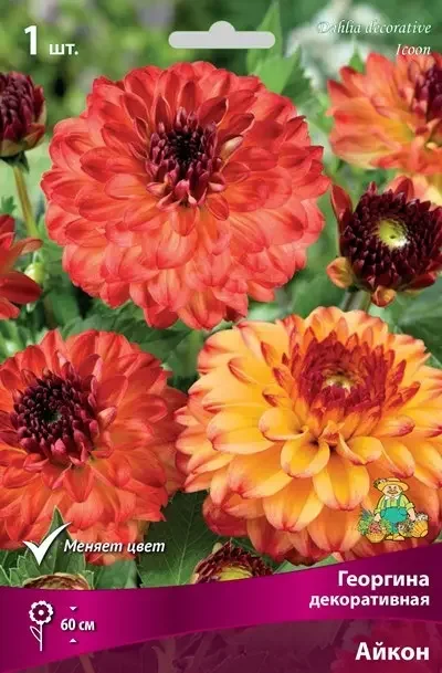 a6df7851ddc311ed8293d85ed377b6fa_5f64fcfb156711ee8296d85ed377b6fa