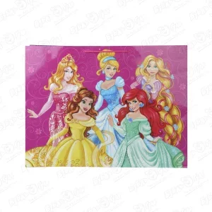 Фото для Пакет подарочный Принцессы Disney 60х46см