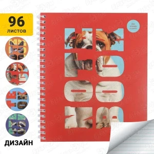 335737_1