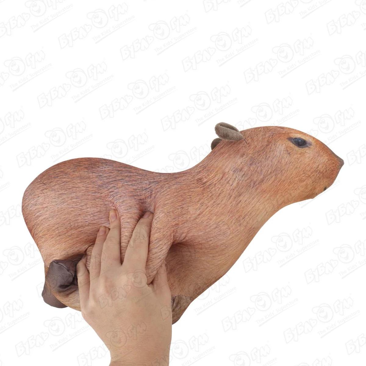 325659_4