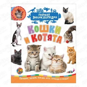 Фото для Книга «Первая энциклопедия: Кошки и котята»