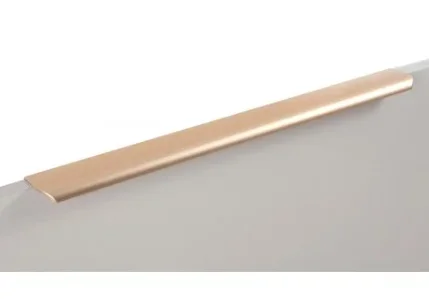Ручка мебельная торцевая RT110SG.1/000/600 (20)