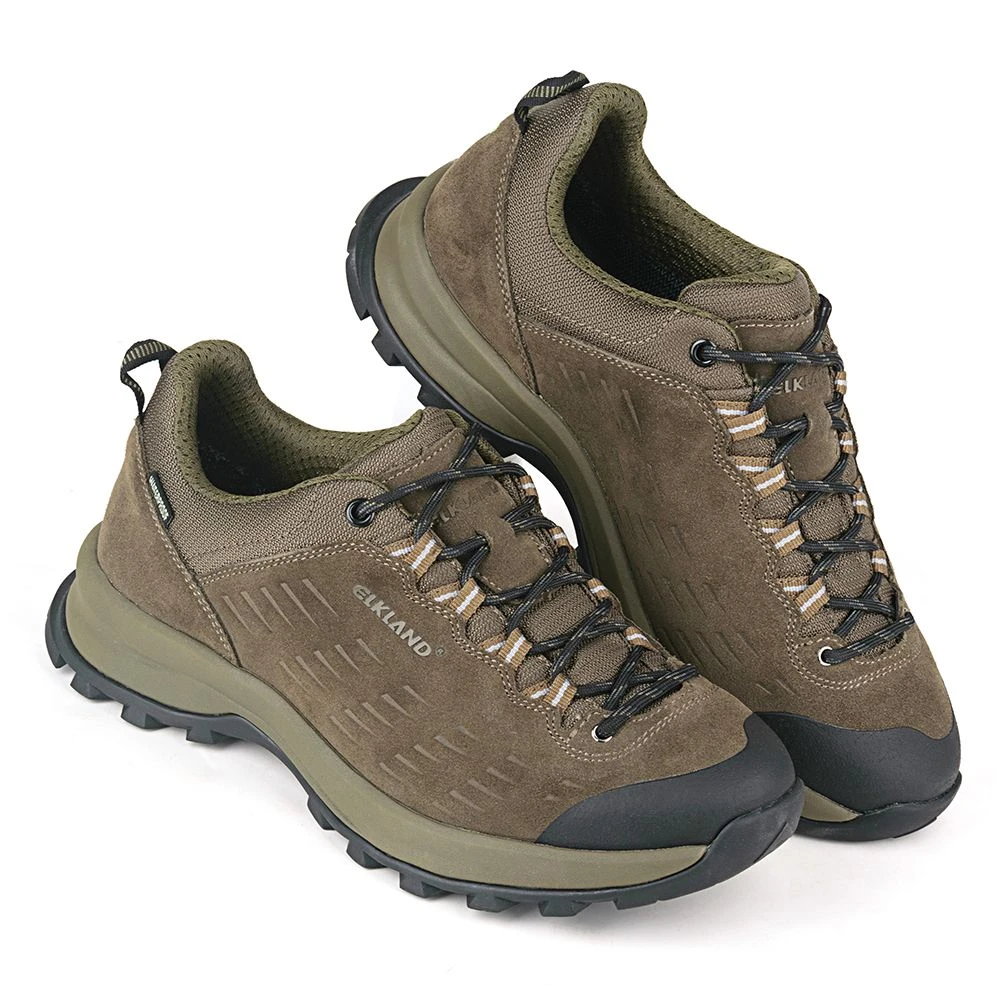 01909e8d-661d-4c71-b82c-f327ceeb7afa_58d549f9-0c50-11ef-80f4-3c7c3f22f3e9