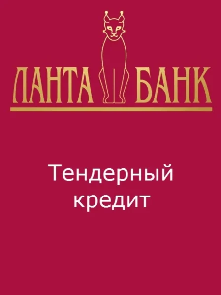 Фото для Тендерный кредит